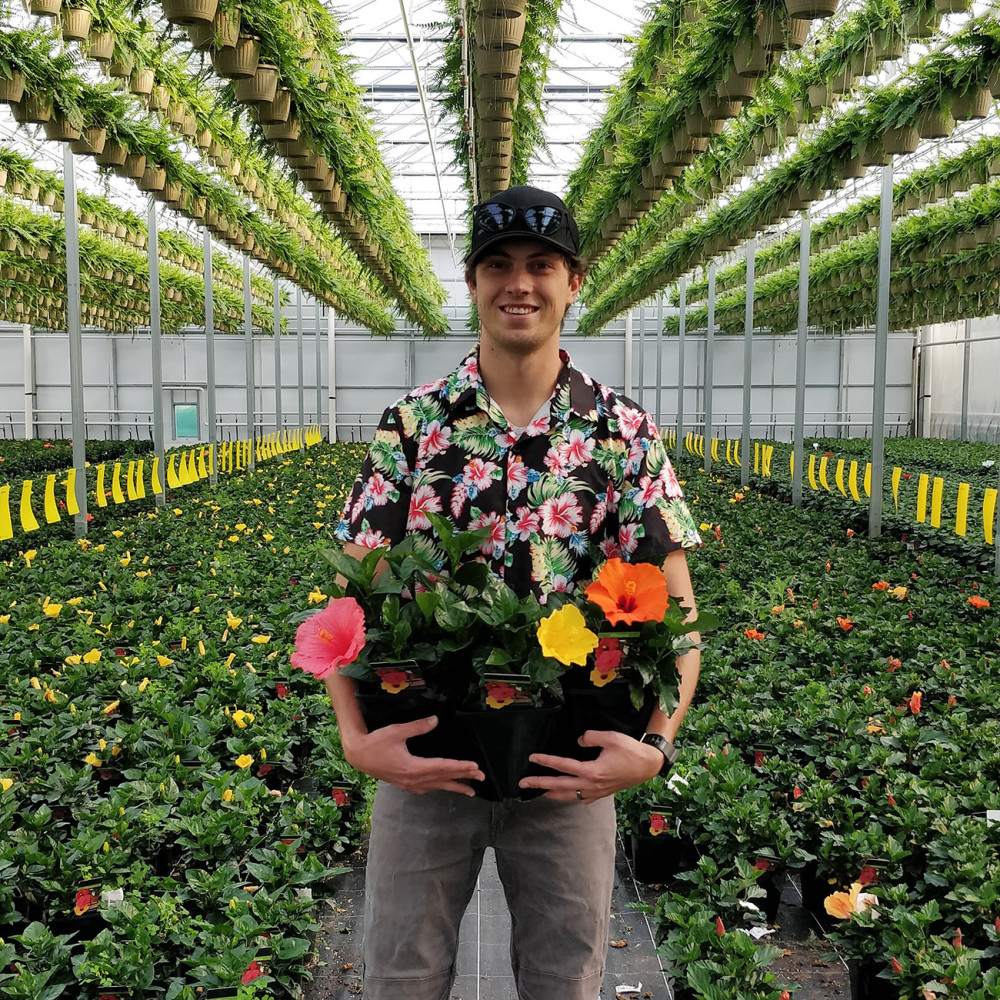 Careers Orchard Park Growers