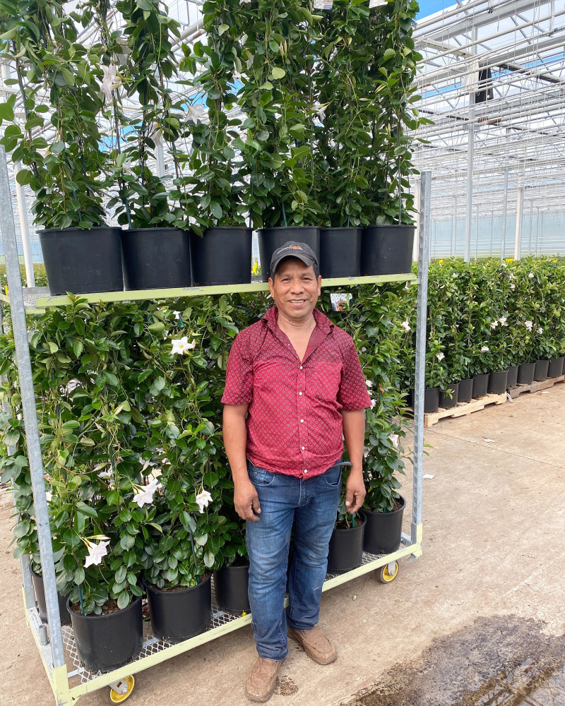 Careers Orchard Park Growers